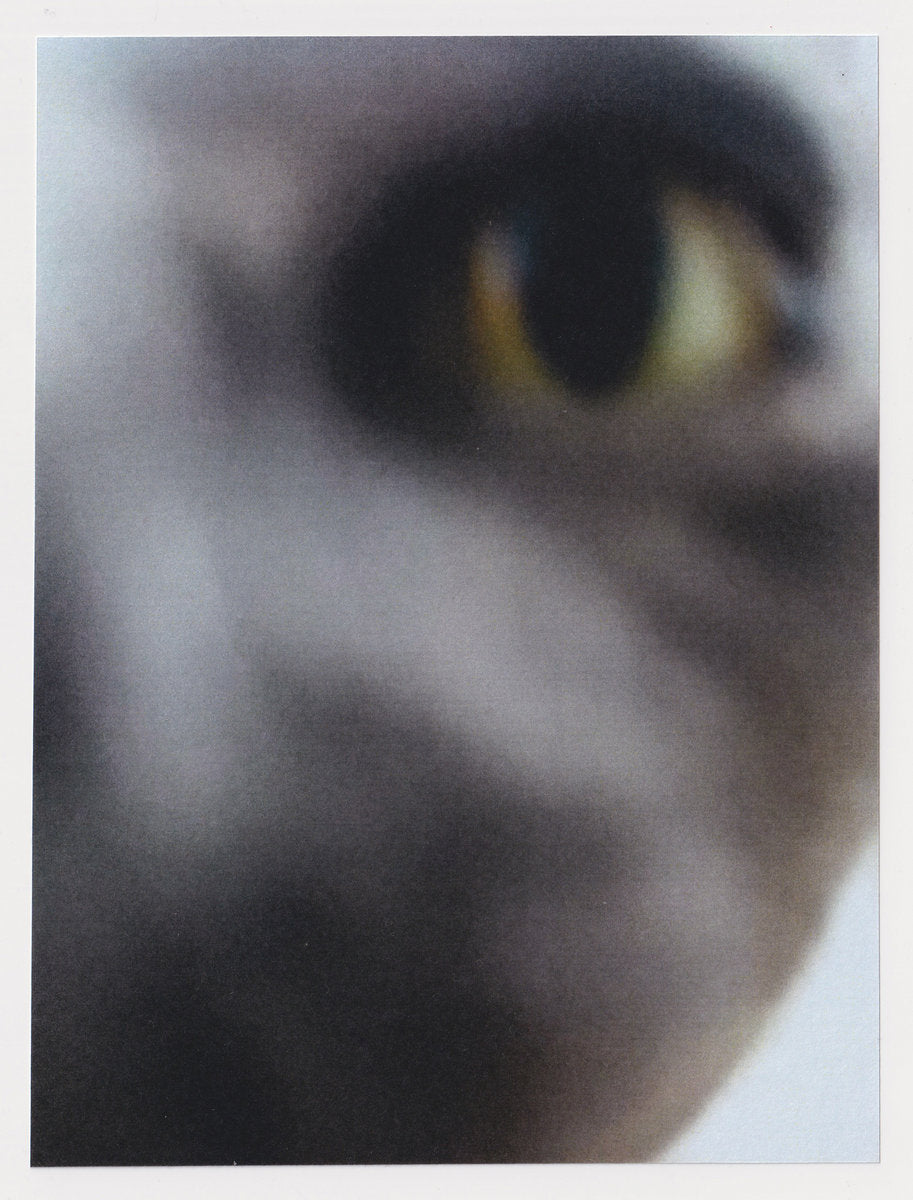 DOO10